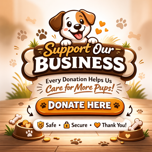 Support Our Business